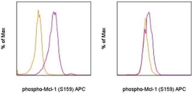 Phospho-MCL-1 (Ser159) Antibody in Flow Cytometry (Flow)