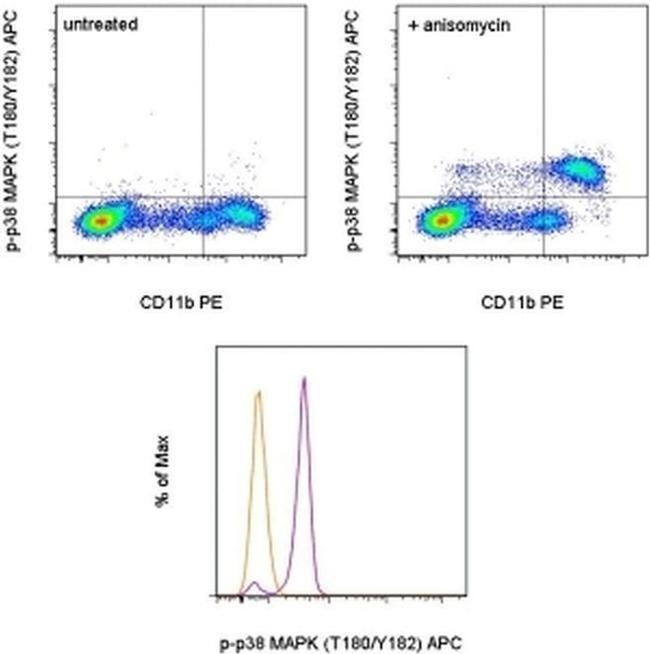 Phospho-p38 MAPK (Thr180, Tyr182) Antibody in Flow Cytometry (Flow)