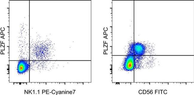 PLZF Antibody in Flow Cytometry (Flow)