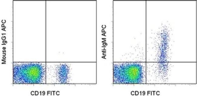 IgM Antibody in Flow Cytometry (Flow)