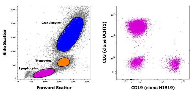 CD3/CD19 Antibody in Flow Cytometry (Flow)