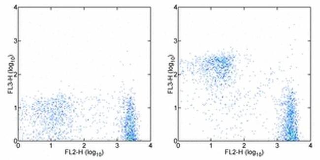 CD3e Antibody in Flow Cytometry (Flow)