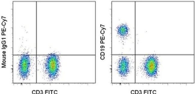 CD19 Antibody in Flow Cytometry (Flow)