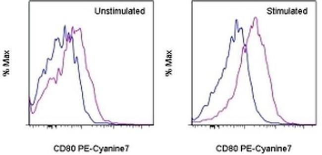 CD80 (B7-1) Antibody in Flow Cytometry (Flow)