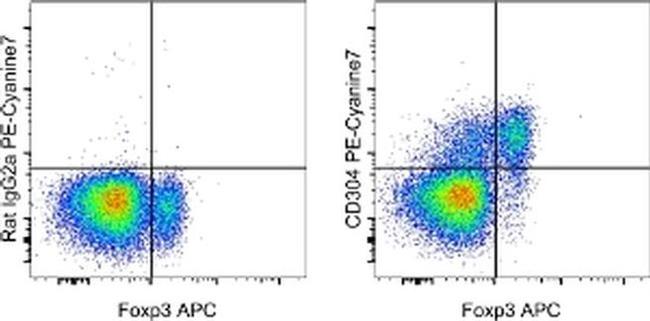 CD304 (Neuropilin-1) Antibody in Flow Cytometry (Flow)