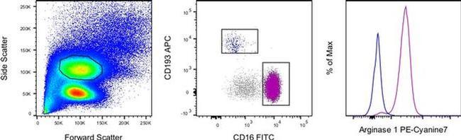 Arginase 1 Antibody in Flow Cytometry (Flow)