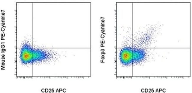 FOXP3 Antibody in Flow Cytometry (Flow)