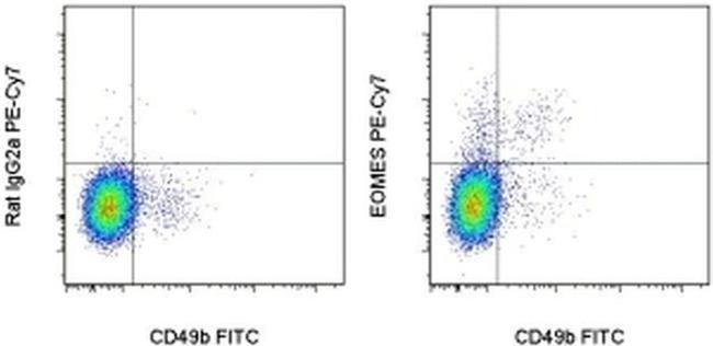 EOMES Antibody in Flow Cytometry (Flow)