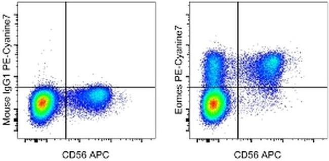 EOMES Antibody in Flow Cytometry (Flow)