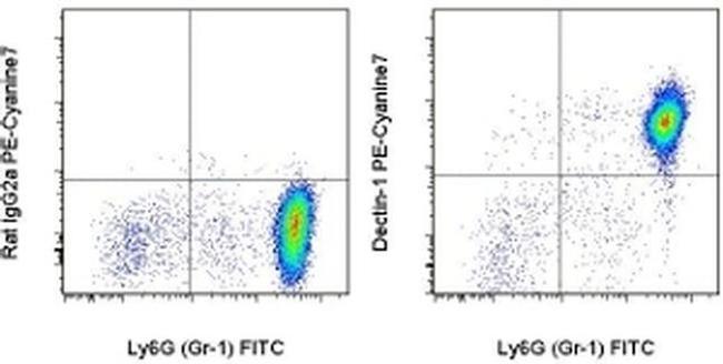 CD369 (Clec7a, Dectin-1) Antibody in Flow Cytometry (Flow)