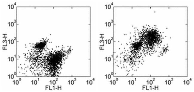 CD93 (AA4.1) Antibody in Flow Cytometry (Flow)