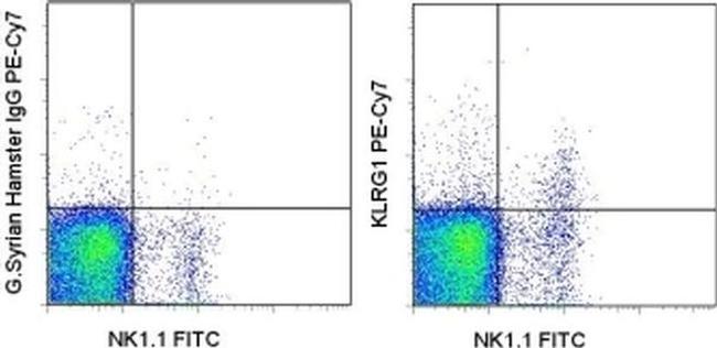 KLRG1 Antibody in Flow Cytometry (Flow)