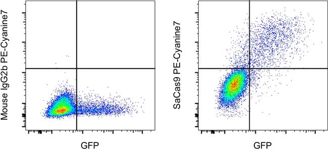 Staphylococcus aureus Cas9 Antibody in Flow Cytometry (Flow)