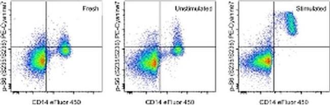 Phospho-S6 (Ser235, Ser236) Antibody in Flow Cytometry (Flow)