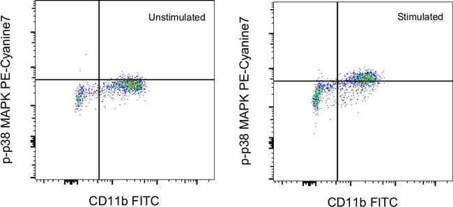 Phospho-p38 MAPK (Thr180, Tyr182) Antibody in Flow Cytometry (Flow)