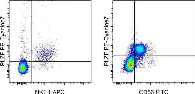 PLZF Antibody in Flow Cytometry (Flow)