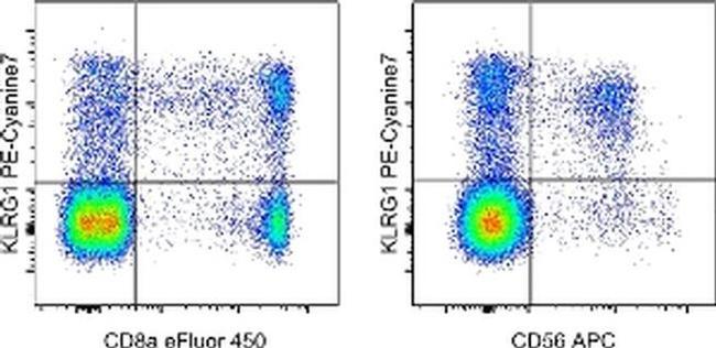 KLRG1 Antibody in Flow Cytometry (Flow)