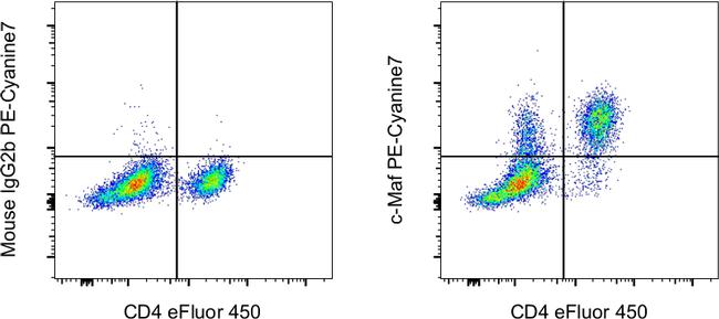 c-MAF Antibody in Flow Cytometry (Flow)