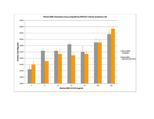 Mouse CCL22 (MDC) Protein in Functional Assay (Functional)