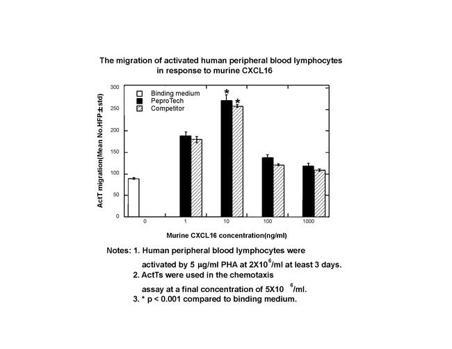 Mouse CXCL16 Protein in Functional Assay (Functional)