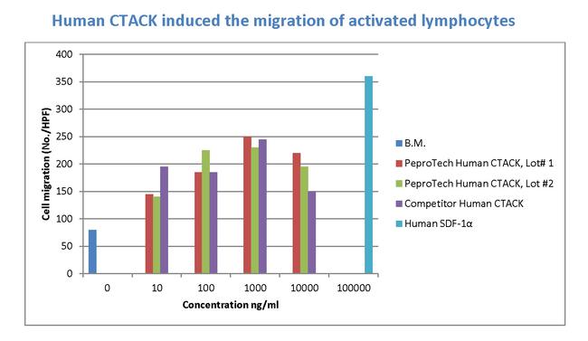 Human CTACK (CCL27) Protein in Functional Assay (Functional)