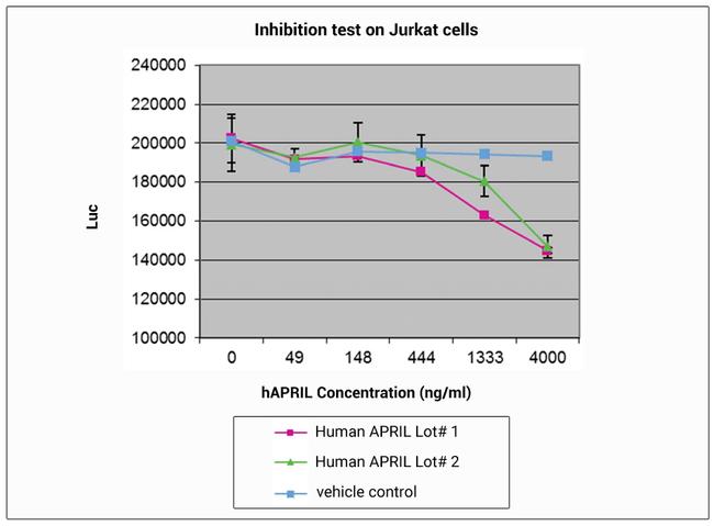 Human APRIL Protein in Functional Assay (Functional)