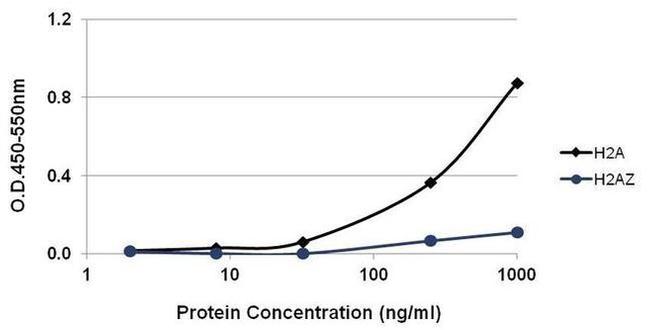 Mouse IgG, IgM (H+L) Secondary Antibody in ELISA (ELISA)