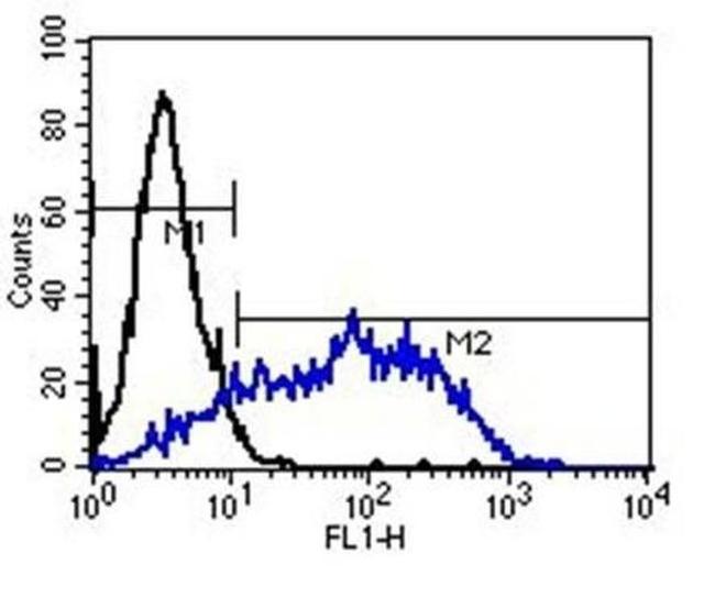 Mouse IgM Secondary Antibody in Flow Cytometry (Flow)