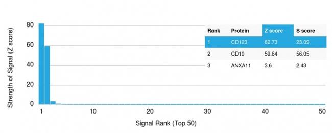 IL3RA/CD123 (Acute Myeloid Leukemia Marker) Antibody in Peptide array (ARRAY)