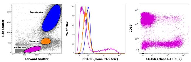 CD45R (B220) Antibody in Flow Cytometry (Flow)