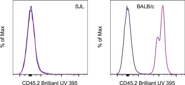 CD45.2 Antibody in Flow Cytometry (Flow)