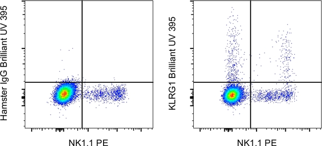 KLRG1 Antibody in Flow Cytometry (Flow)