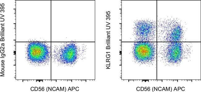 KLRG1 Antibody in Flow Cytometry (Flow)