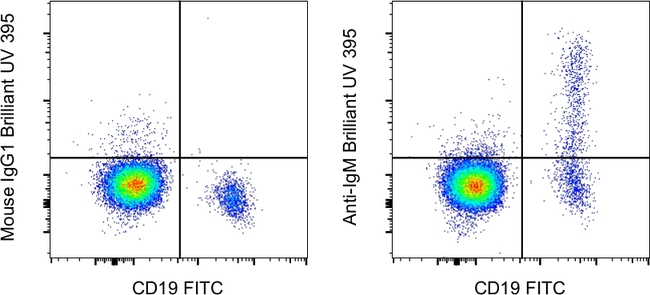 IgM Antibody in Flow Cytometry (Flow)