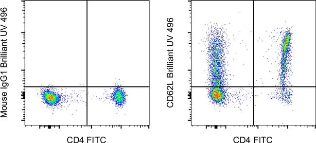 CD62L (L-Selectin) Antibody in Flow Cytometry (Flow)