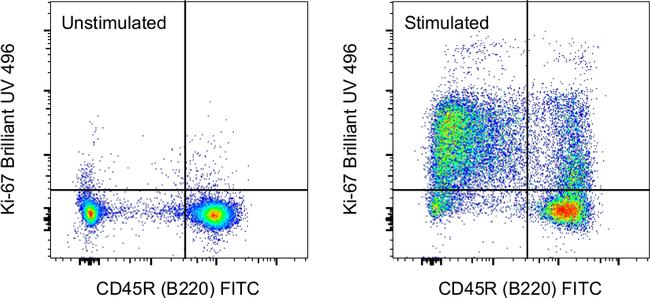 Ki-67 Antibody in Flow Cytometry (Flow)