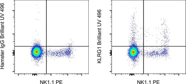 KLRG1 Antibody in Flow Cytometry (Flow)