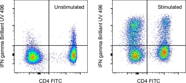 IFN gamma Antibody in Flow Cytometry (Flow)