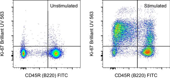 Ki-67 Antibody in Flow Cytometry (Flow)