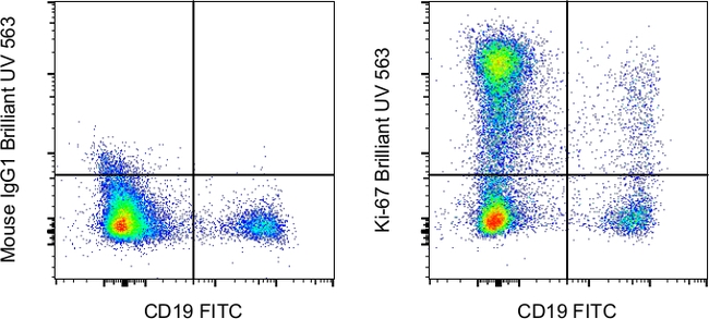 Ki-67 Antibody in Flow Cytometry (Flow)