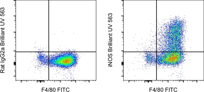 iNOS Antibody in Flow Cytometry (Flow)