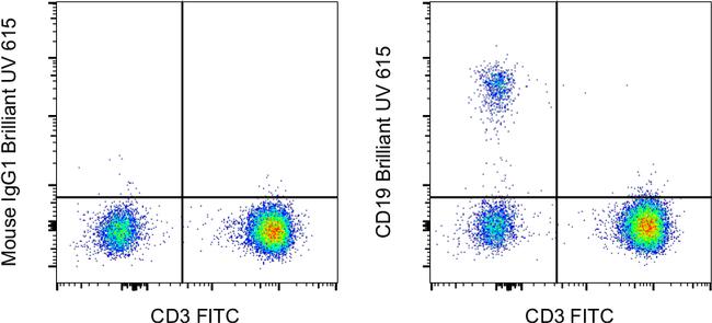 CD19 Antibody in Flow Cytometry (Flow)