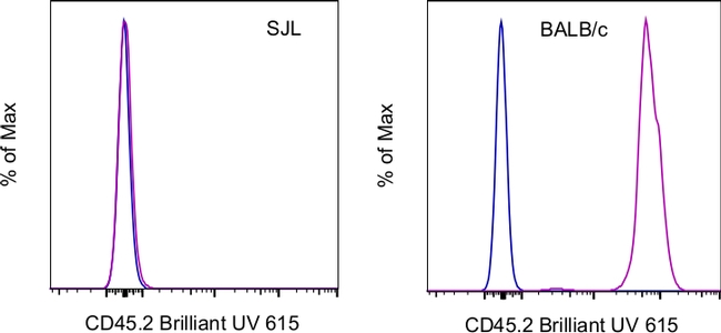 CD45.2 Antibody in Flow Cytometry (Flow)