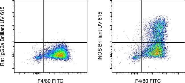 iNOS Antibody in Flow Cytometry (Flow)