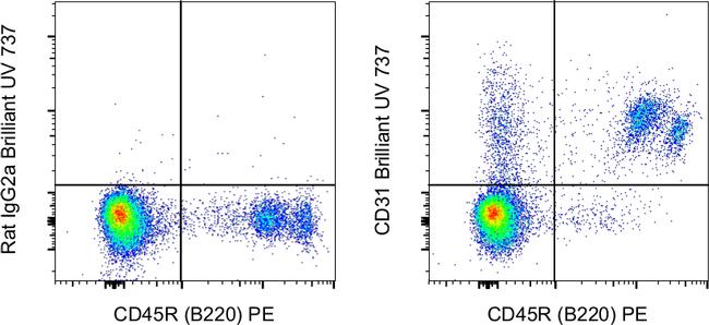 CD31 (PECAM-1) Antibody in Flow Cytometry (Flow)