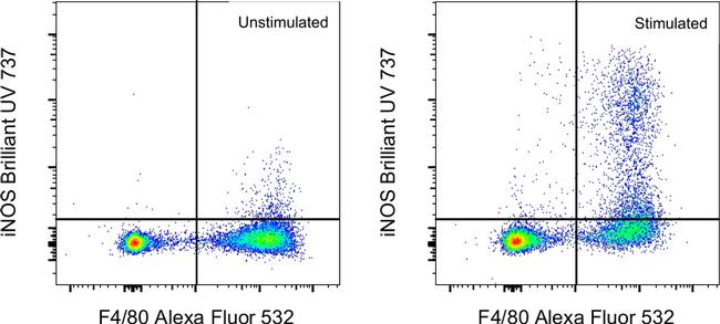 iNOS Antibody in Flow Cytometry (Flow)