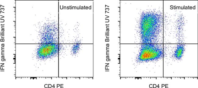 IFN gamma Antibody in Flow Cytometry (Flow)