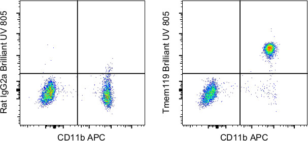 Tmem119 Antibody in Flow Cytometry (Flow)