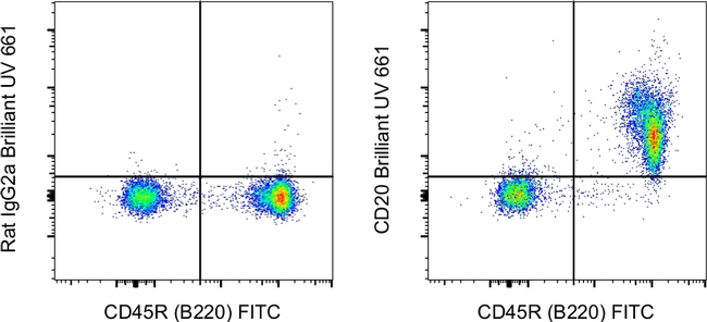 CD20 Antibody in Flow Cytometry (Flow)