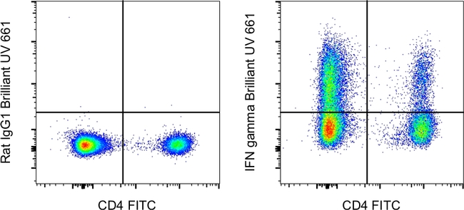 IFN gamma Antibody in Flow Cytometry (Flow)